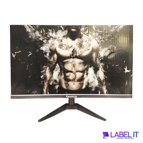 Esonic 22ELMW 22 inch HD LED Monitor: Expansive display, energy-efficient design, and versatility for immersive computing.